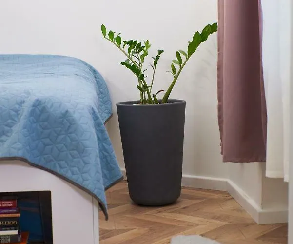 Self Check-in Cozy Stylish Flat By Vaci Street Βουδαπέστη