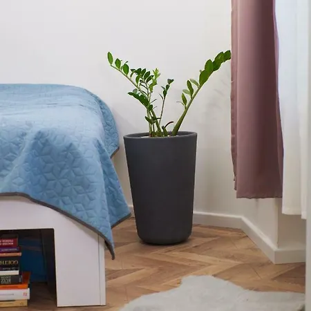 Self Check-in Cozy Stylish Flat By Vaci Street Budapeszt